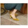 New Summer Sandals Elegant Medium Heel Women's Shoes Pointed Toe High Heels